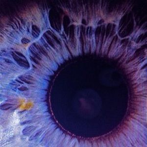 Meet your Posher, Tanya